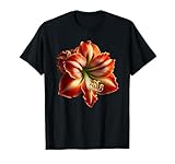 Stylish Amaryllis Flower Shapes Mania