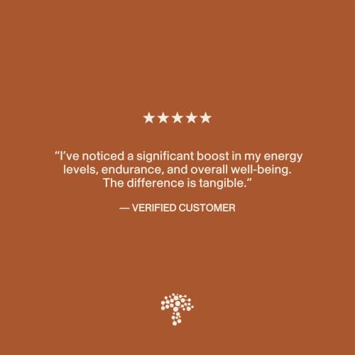Image of Real Mushroom Cordyceps Mushroom Powder - Cordyceps Mushroom Energy and Performance - Organic Cordyceps Powder with Beta-Glucans, Vegan Supplement, Non-GMO, 150 Servings