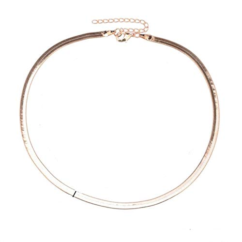 OOMPH Gold Tone Delicate Snake Chain Fashion Necklace for Women & Girls (B08DY1S8J2) Amazon Price History, Amazon Price Tracker