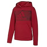 adidas Cotton Fleece Pullover Hoodie Kids', Red, Size L