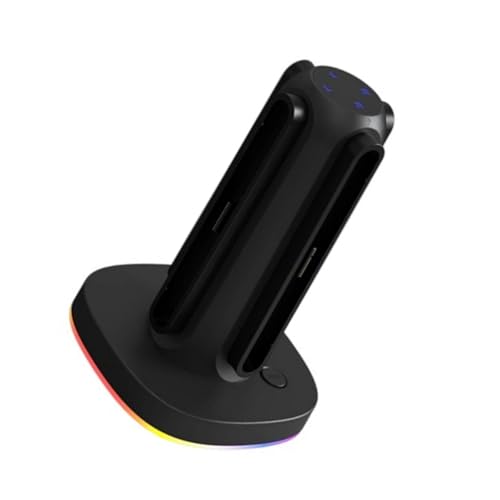 Station de charge avec indicateur LED NS2 et effet lumineux fixe