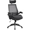 BOLISS 400lbs High Back Ergonomic Mesh Computer Office Desk Chair with Super Soft Adjustable Arms Molded Foam Double Seat Cushion Lumbar Support(Black)