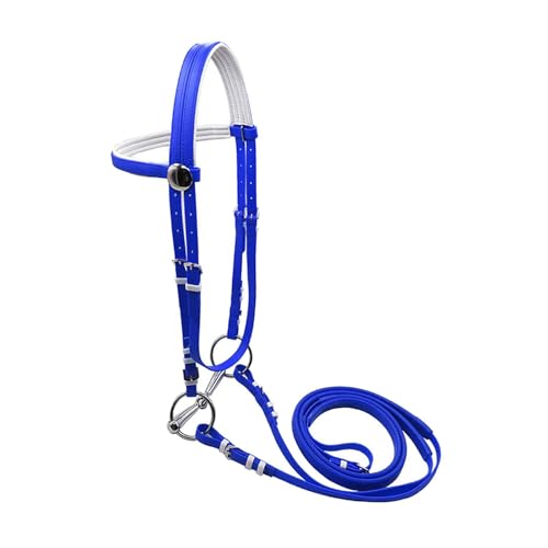 Oshhni Brida de Caballo con riendas, Cuerda para Montar, Anillo Ajustable de Acero Inoxidable, Correa para para Club, lección, Granja, L Blue