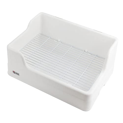 ERINGOGO ^pgC{bNX O\̎ hU݌v P[WݒuȒP gCg[i[ rbg nX^[