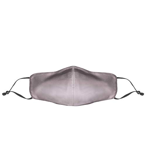 Dilara PREMIUM Seidenmasken Mundschutz mit Motiv in verstellbarer Größe waschbar - Gesicht Maske verstellbar aus Seide Stoff mit Nasenbügel SOFORT lieferbar (Grau)