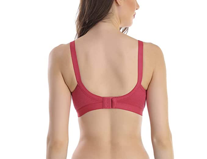Image of SKDREAMS Blue & Brown & Purple-32D Cotton Blend Seamless Non Padded Non-Wired Full Coverage Pack of 3 Women T-Shirt Bra Combo