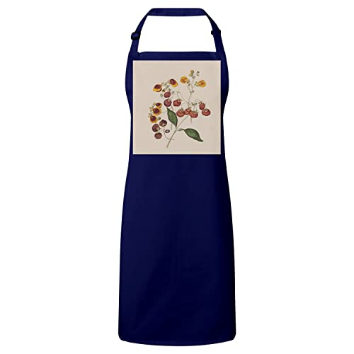 Tablier de cuisine illustration botanique ancienne fleurs exotiques idée cadeau originale
