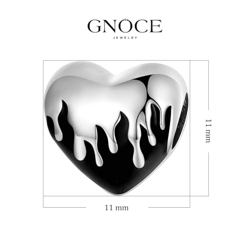 GNOCE 'You Melt My Heart' Charm for Bracelet - 925 Sterling Silver Jewelry Gift for Women - Mother's Day (Dragonfly)4