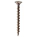 Grip Rite GS200 23 lb Number-2 Phillips Bugle Head General Purpose Screw, 2"