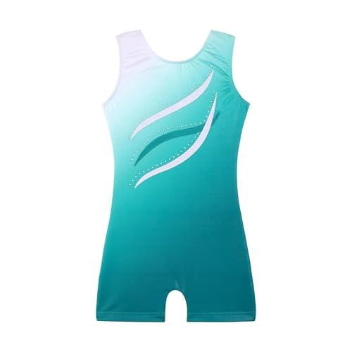 HOZIY Leotards for Girls Gymnastics Kids Children Biketard Snowflake Ribbon Blue Purple Hot Pink Sparkle 4-5T Aqua Embroidery Ribbons