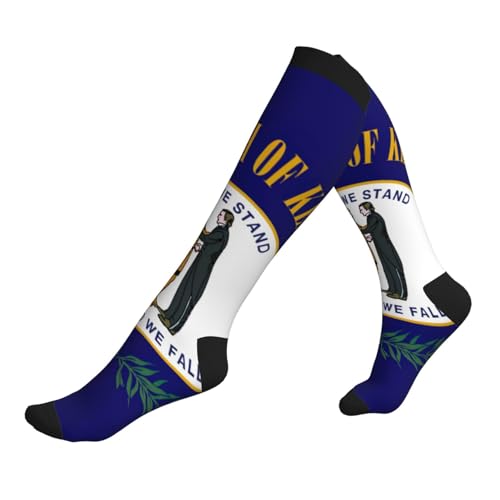 OAZCVBNN Kentucky State Flag Print Eleganti Calzini da corsa Atletici Unisex per Atleti Viaggi Escursioni E Voli Lunghi, 3 nero, Taglia unica