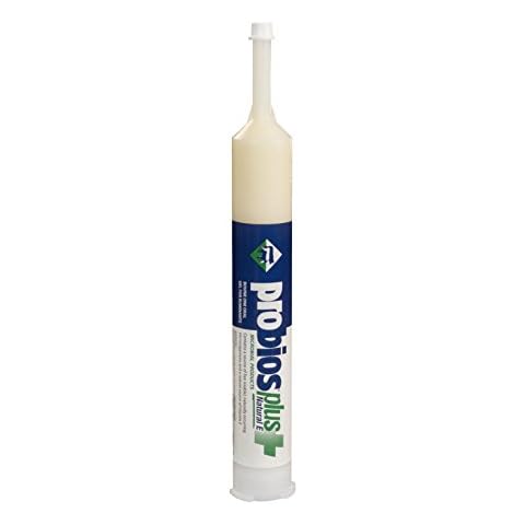 Probios Bovine One Oral Gel for Ruminants Plus Natural-E Tube, 300cc Cover