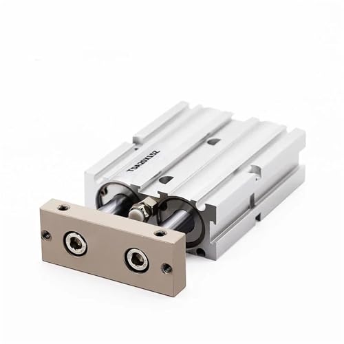 Vérin pneumatique double tige TN20 course 100mm mini vérin TDA