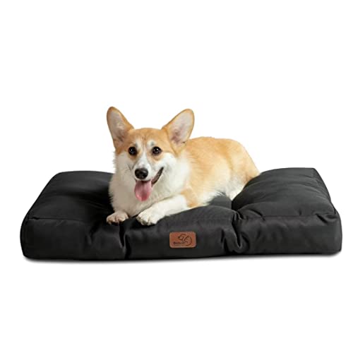Amazon.co.uk Best Sellers The most popular items in Dog Beds