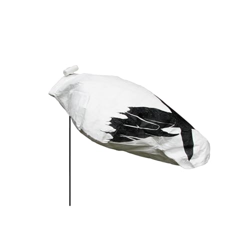 White Rock Snow Goose Windsocks