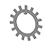 Whittet-Higgins PW-16 Precision Ground Bearing and Shaft Lockwasher, For use with Whittet-Higgins PN-16 or PL-16, replaces SKF W 16, Standard PRW-16, W-16,