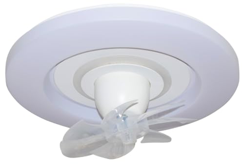 Ventilateur de plafond salon RAKI pour fraîcheur été et confort hiver