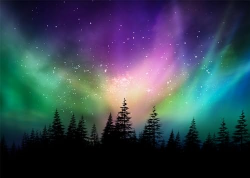 DULUDA 7x5 FT Colorful Northern Lights Backdrop Canadian Forest Aurora Borealis Night Sky Photography Background Pine Forest Northern Lights Wall Art Backdrop Home Decor Photo Booth Studio Props