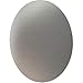 Fontanna Shield 10" High Satin Nickel LED Wall Sconce