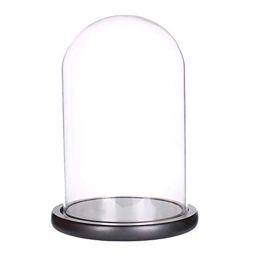 Campana de cristal con base de madera, 15 cm x 30 cm