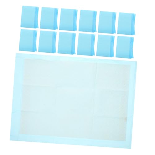 Milisten 100 Piezas Cambiador Desechable Empapadores Perros Cambiador De Mascotas Almohadillas para Orinal para Perros Almohadillas para Orinar Gato Tela No Tejida Sky-Blue