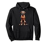 Photo Gallery rhodesian ridgeback african lion hound felpa con cappuccio Photo Gallery rhodesian ridgeback african lion hound felpa con cappuccio