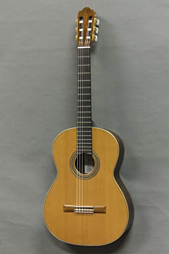 ASTURIASiAXgAXj NVbNM^[ S-1/C { X[p[CgP[X Zbg