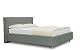 Es Design 08 Polsterbett Lion