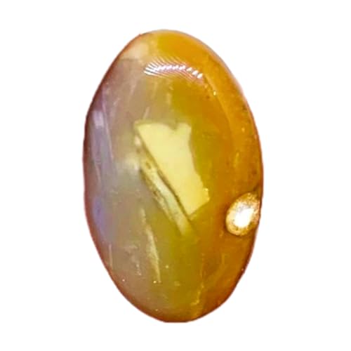 Cabochon ovale fossile naturel pour remplacer une pierre de bague ou pendentif