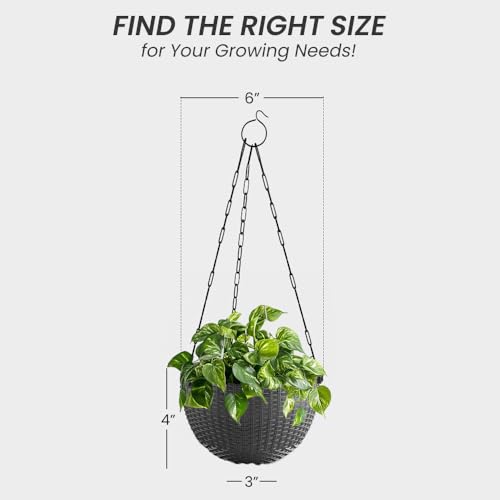 Image of YUCCABE ITALIA SHERA URO-Basket Plastic Flower Pot with Drainage Holes Round Planter Pot Suitable for Inddor Outdoor Kitchen (Grey, 6 INCH - 12 Pcs)