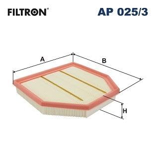 FILTRON Filtre Ă air AP025/3