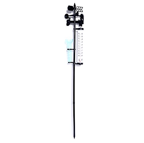 Longsw Outdoor Garden Weather Station Measuring Vane Tool Rain Wind Gauge