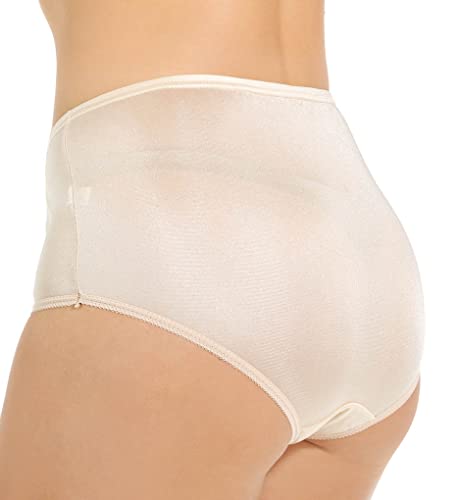Image of Teri Women's 331 Plain Jane Classic Nylon Silky-Smooth Lightweight Breathable Full Coverage Brief Panty - 4 Pack