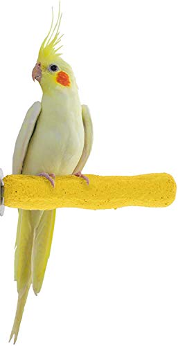 Sweet Feet and Beak Comfort Grip Safety Perch for Bird Cages - Pedicure Perch for Birds to Keep Nails and Beaks in Top Condition - Safe Easy to Install Bird Cage Accessories - X-Small 4.5'