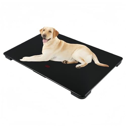 BRJX �y�b�g�̏d�v, 10g�P�ʂ̐������肪�\, �������b�N�@�\�Ő��m�Ȑ��l���Œ�, �����K���X�őϋv��, �y�b�g�̌��N�Ǘ��ɍœK (�N�[���u���b�N�i80×50cm �o�b�e���[���f���j) [���s�A���i]