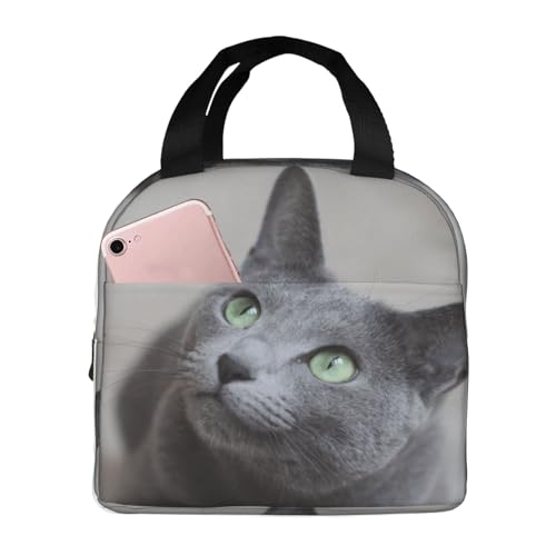 `obO L ۗ ۉ ٓobO  RpNg O|Pbgt ~jg[gobO p肳obO fB[X Y ʋ ʊw s fB[X Y qp