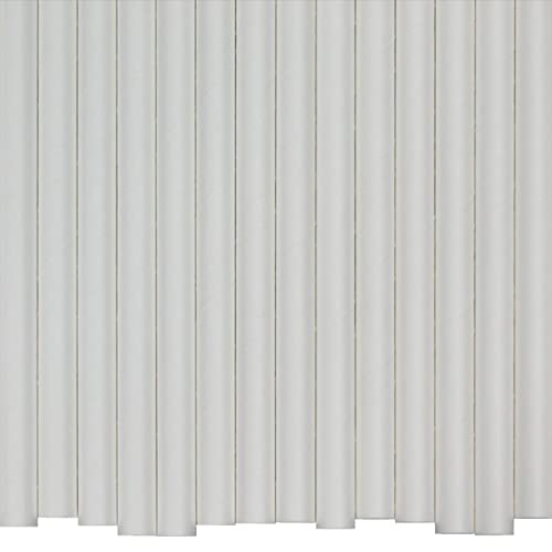 Pailles en Papier Blanc (10mm x 200mm) - 200 Unités - Pailles En Papier Biodégradables, Respectueuses De L'environnement, Très Durables, Convient à Toutes Les Occasions Cover