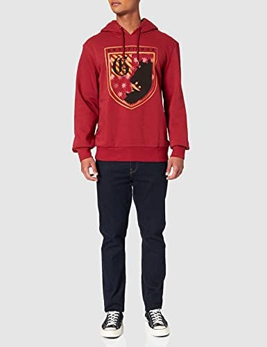 Springfield Sudadera Capucha Gryffindor Hombre : Amazon.es: Ropa