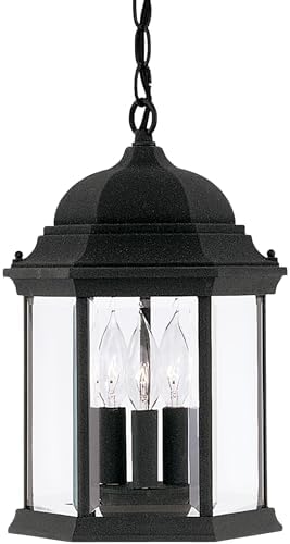 DESIGNERS FOUNTAIN 3-Light Devonshire Hanging Lamp, 10 Inch Outdoor Lantern Lighting Fixture, Clear Glass Lighting, Black, 2984-BK