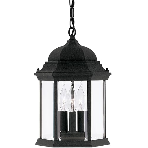 DESIGNERS FOUNTAIN 3-Light Devonshire Hanging Lamp, 10 Inch Outdoor Lantern Lighting Fixture, Clear Glass Lighting, Black, 2984-BK