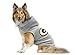 Littlearth NFL Green Bay Packers Team Dog Crew Neck, Xtra Large, Green