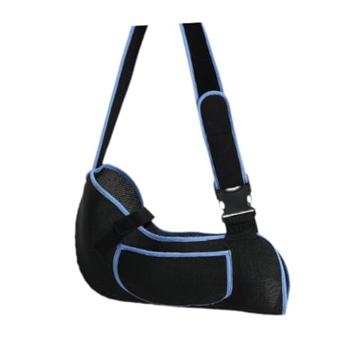 B Baosity A[Xgbv  ʋĈFT|[gu[X OrŒ   lp