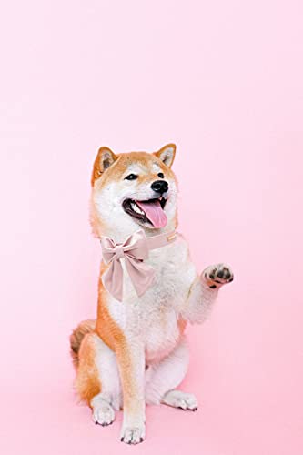 Unique Style Paws Seiden Rosa Hundehalsband Verstellbar Strapazierfähig Mit Schleife Hochzeit Fliege für Kleine Welpen und Katzen