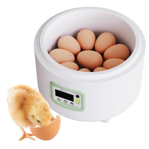 Generic Incubadora de ovos, incubadora de aves, elétrica, multiuso, máquina de incubação para pombos