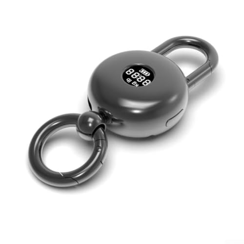 Caswynlife Mini porte-clés à balance numérique, capacité de 25 kg, rechargeable par USB-C, corps en alliage, écran LCD, format de poche, outil de pesée avec horloge, portable pour voyage (noir)