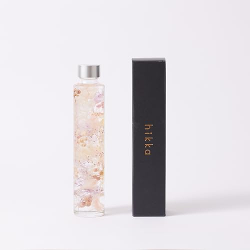 hikka (qbJ) yKiz n[oE X{g KXr BOX (sNp[v) vU[uht[  ͂Ȃ sv { t[ Mtg v[g ̓ Ki