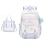 Blue Handbag 2-piece Set