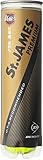 ダンロップ DUNLOP テニスボール St.JAMES PREMIUM（セント・ジェームス・プレミアム） 4球入 1缶 STJAMESPRMA4TIN