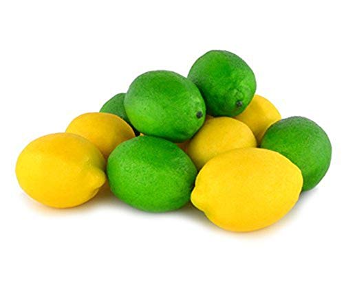 Image of Ulalaza 12Pcs Fake Lemon Artificial Fruits Model Lifelike Yellow&Green Lemon Home House Kitchen Party Decoration Desk Ornament