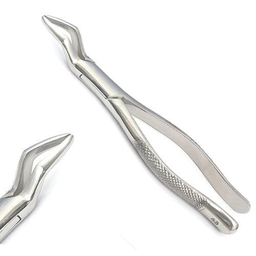 Precise Canada: Extracting Forceps American Pattern Roots #65